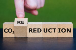 ЕС устанавливает первый добровольный стандарт постоянного удаления углерода