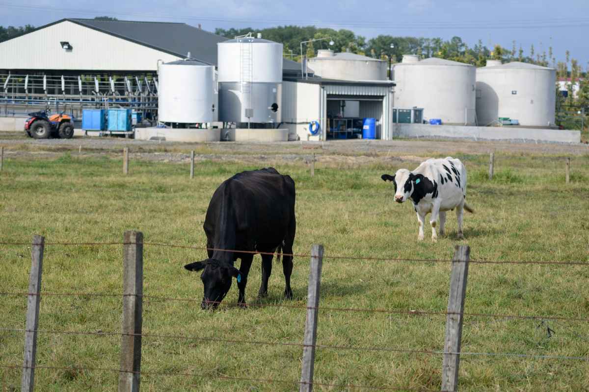 До 5,7 млрд м3/год: потенциал сельскохозяйственного биометана