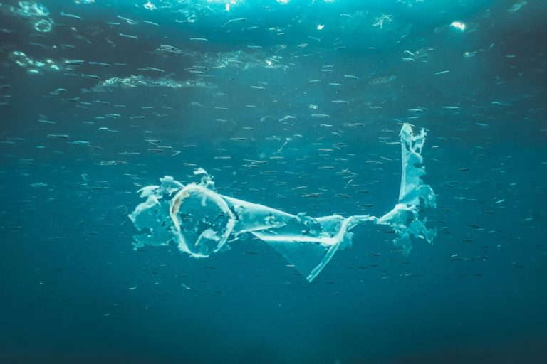 Загрязнение моря, искусственный интеллект для отслеживания пластиковых островов