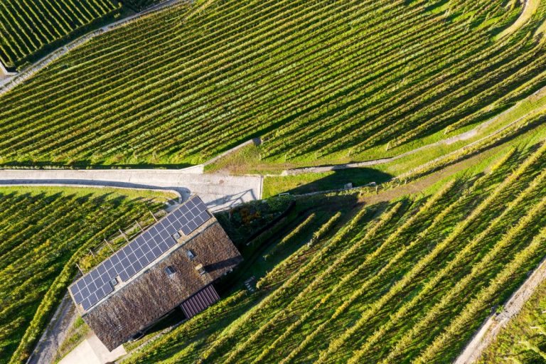 Электросистема, март 2026 года стал месяцем фотоэлектрической энергии: произведено 4 ТВтч.