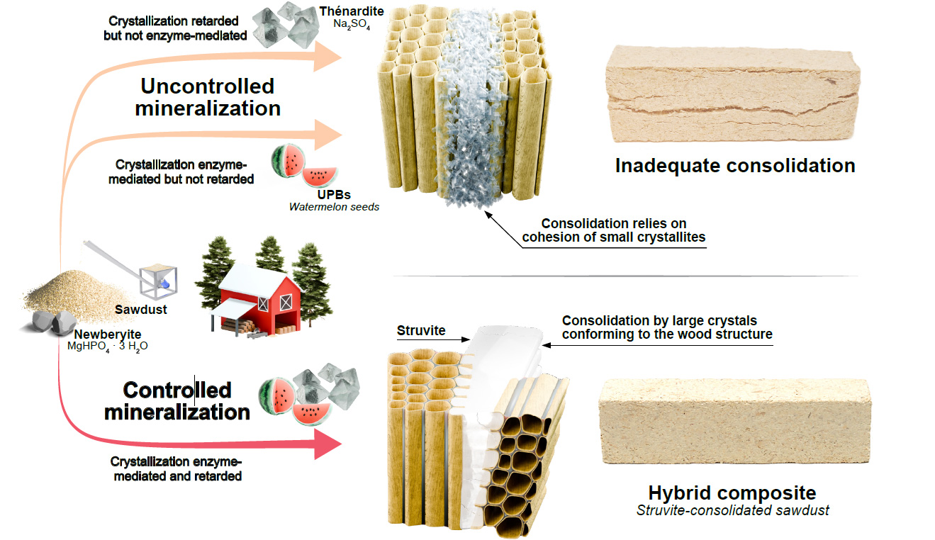 Процесс, который приводит к производству перерабатываемых огнеупорных опилок – источник Chem Circularity.
