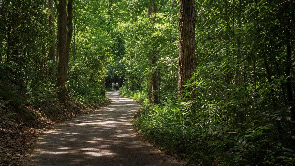 Тихая экотропа может стать главным открытием отпуска, если знать, куда смотреть