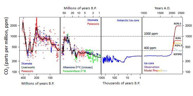 CO2 levels over the past 500 million years.
