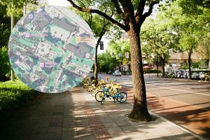 Сайт, который подскажет, где найти тень в городе: вот как это работает