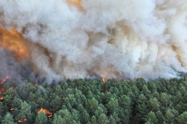 Горит зелёное лёгкое у ворот Парижа: гонка во времени за потушением огромного пожара в лесу Фонтенбло