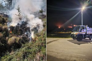 Пьемонт горит: свыше 700 тысяч деревьев уничтожено пожарами (и на возрождение лесов потребуется 70 лет)