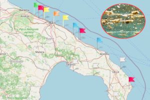 Токсичные водоросли возвращаются в Апулию: красный флаг на пляжах, карта зон риска и симптомы