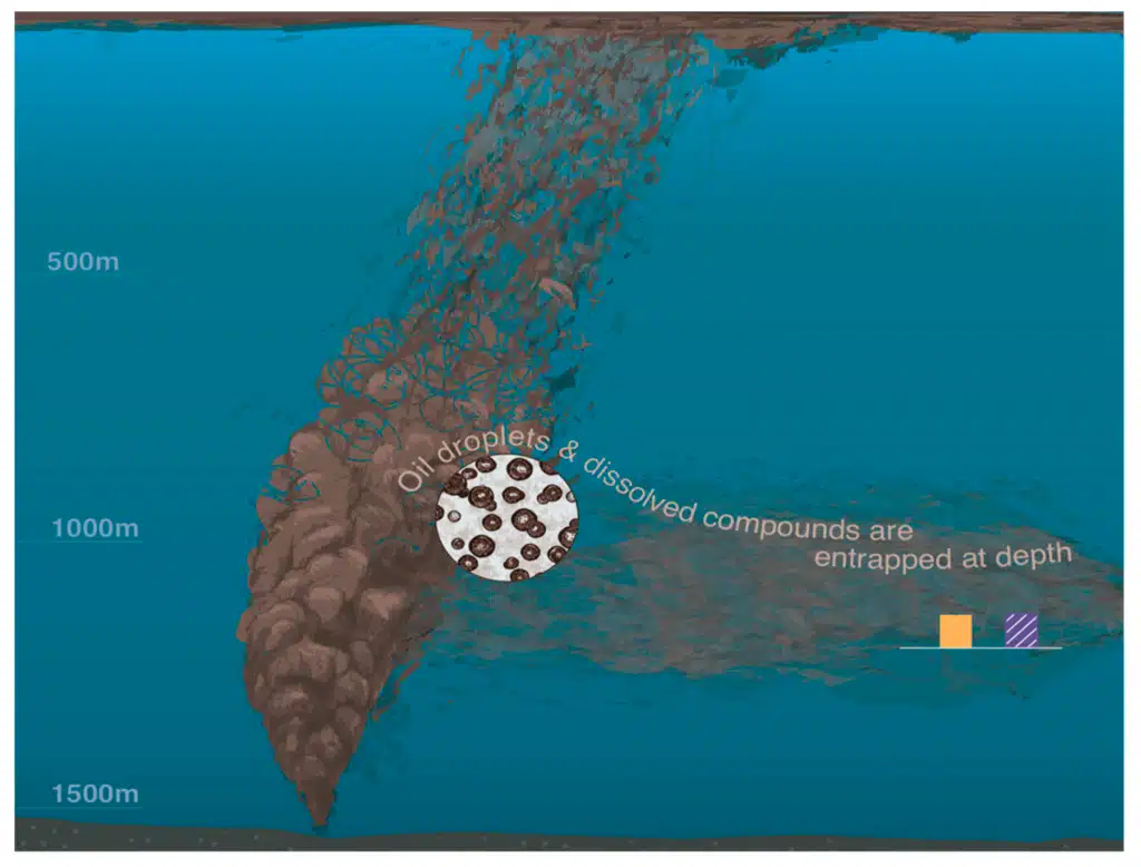 Schematics of subsea oil spill.