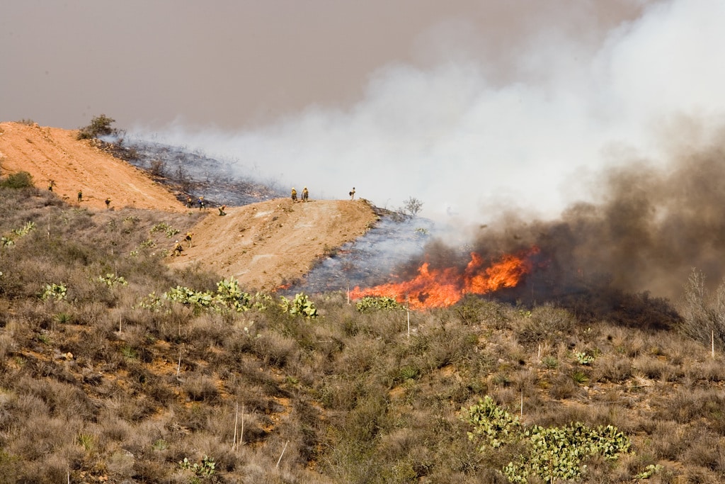 Wildfire in San Diego, California.
