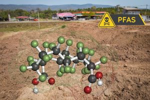 PFAS: учёные нашли новый быстрый и дешёвый метод очистки сельскохозяйственных почв от PFAS