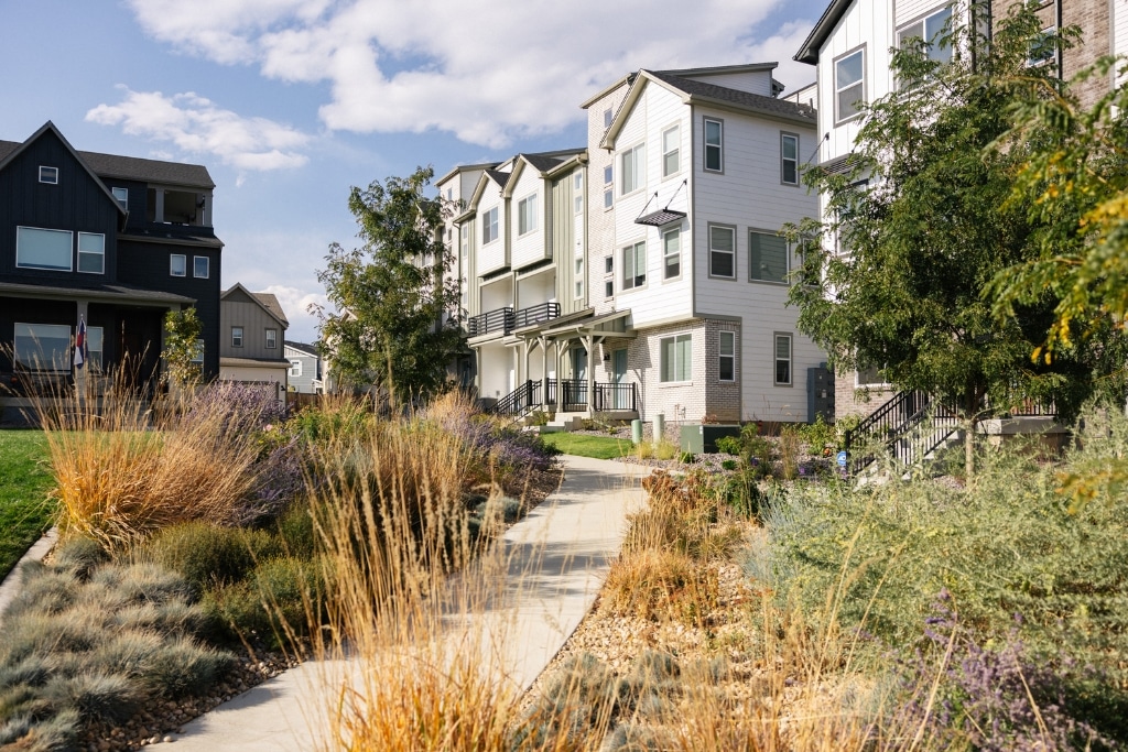 Native and water-wise landscaping lines a neighborhood street at Baseline