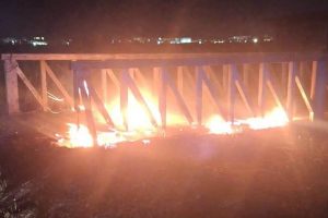 Умышленный поджог опустошил заповедник, отобранный у Каморры; пожар в Оазисе Lipu Soglitelle: «сгорело чудо»