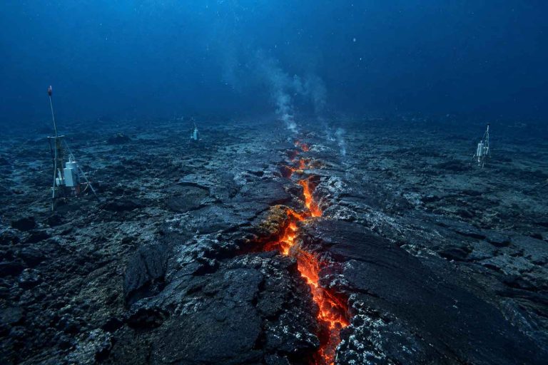 Впервые мы увидели рождение океанической коры: 160 миллионов кубических метров лавы за 16 дней