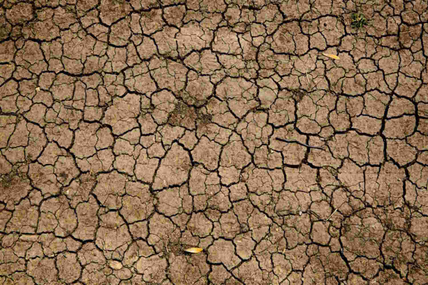 Primo piano zenitale di un terreno brullo e argilloso completamente spaccato a causa della siccita e della mancanza d'acqua