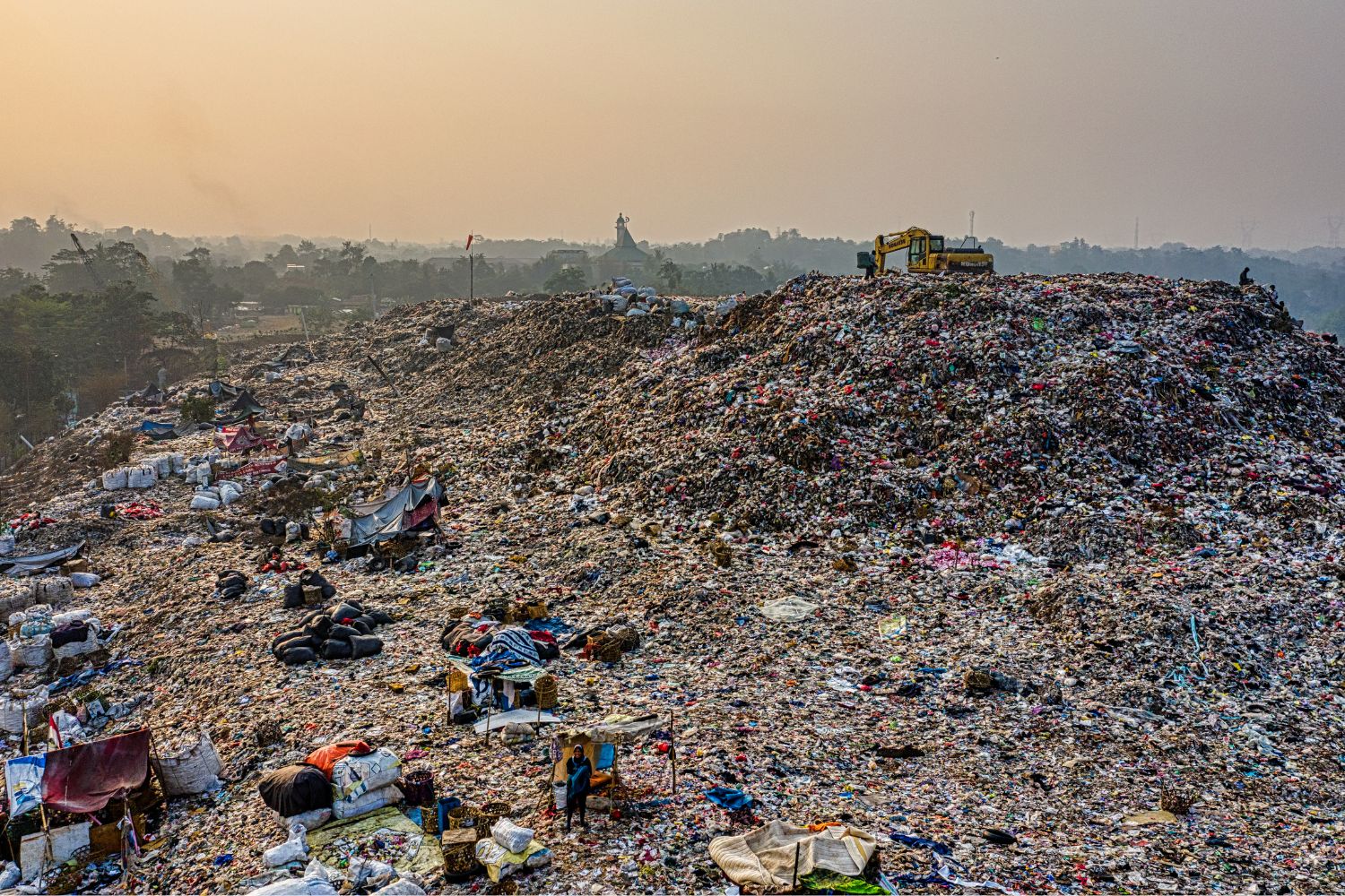 ecomafie reati ambientali 2026