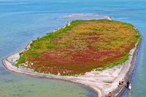 Каспийское море уменьшается: появился новый остров, но это не радостная новость