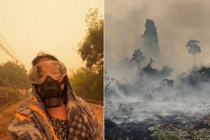 Похоже на ад, но это Борнео: опустошительные пожары душат Индонезию, угрожая выживанию орангутанов