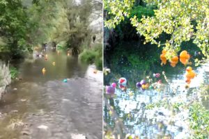 Италия побеждает в мировом забеге пластиковых уточек: гонка в реке ради защиты окружающей среды