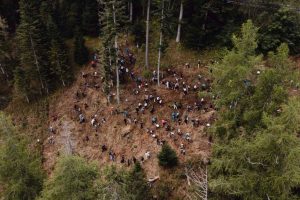 Что осталось от шторма Ваия спустя 8 лет: история возрождения, начинающаяся с упавших деревьев